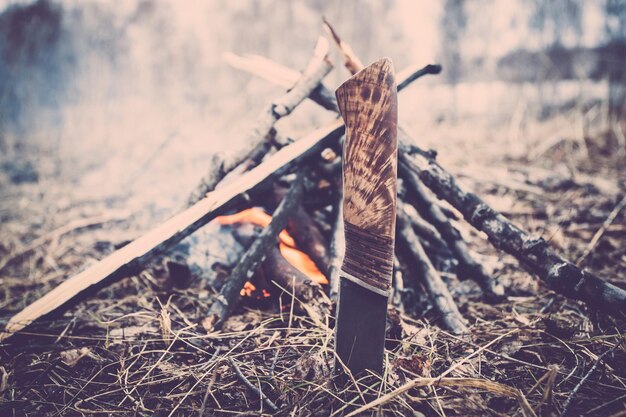 Foto nahaufnahme eines lagerfeuers