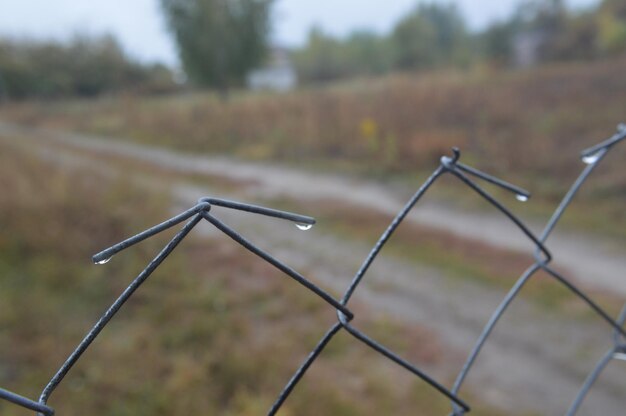 Nahaufnahme eines Metallzauns auf dem Feld