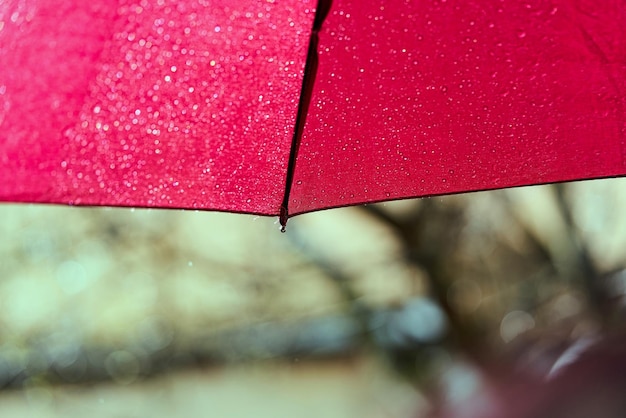 Foto nahaufnahme eines nassen rosa regenschirms während der regenzeit