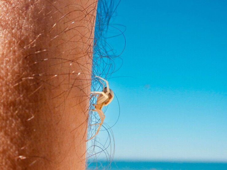 Foto nahaufnahme eines pferdes im meer