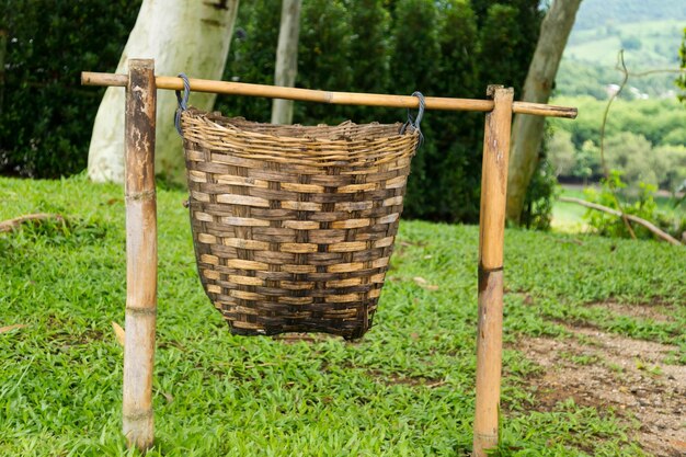 Nahaufnahme eines Pflasterkorbs auf Gras