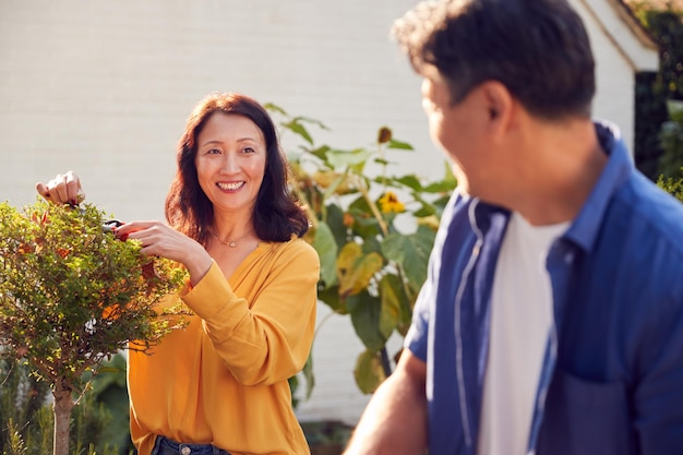 Nahaufnahme eines reifen asiatischen Paares bei der Arbeit, das Pflanzen im Garten zu Hause bewässert und beschneidet