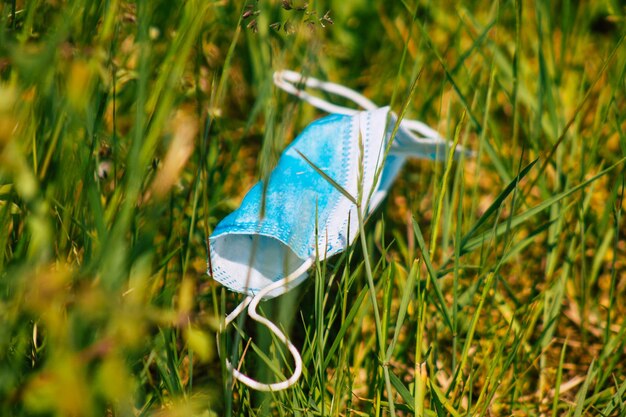 Nahaufnahme eines Schmetterlings auf dem Gras