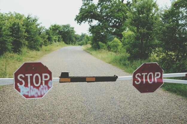 Foto nahaufnahme eines stoppschildes auf der straße gegen bäume