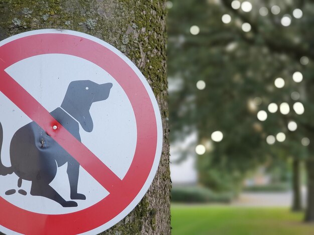 Foto nahaufnahme eines straßenschildes gegen bäume