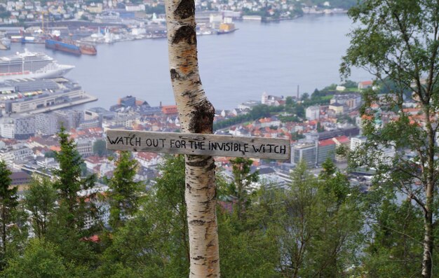 Foto nahaufnahme eines straßenschildes gegen bäume