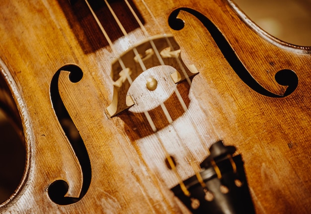 Nahaufnahme eines Violininstruments aus Holz in einer Philharmonie