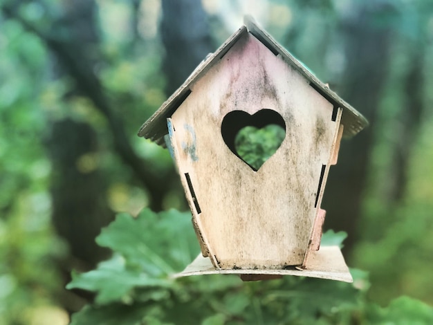 Nahaufnahme eines Vogelhauses auf einem Baumstamm