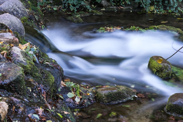 Foto nahaufnahme eines wasserfalls im wald