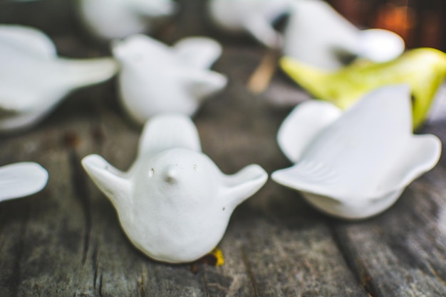 Foto nahaufnahme eines weißen vogels auf dem tisch