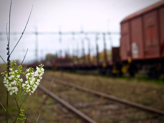 Nahaufnahme eines Zuges auf der Eisenbahnstrecke gegen den Himmel