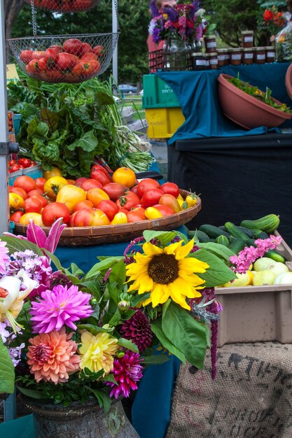 Nahaufnahme farbenfroher Blumen