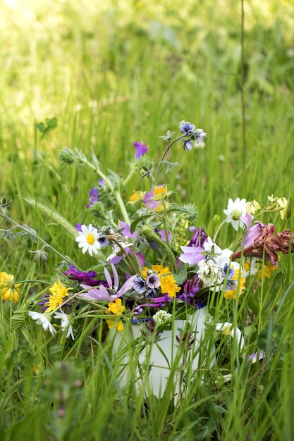 Nahaufnahme frischer lila Blüten auf dem Feld