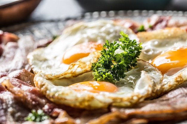 Nahaufnahme gebratener Speck und Ei mit Kräutern auf dem Teller.