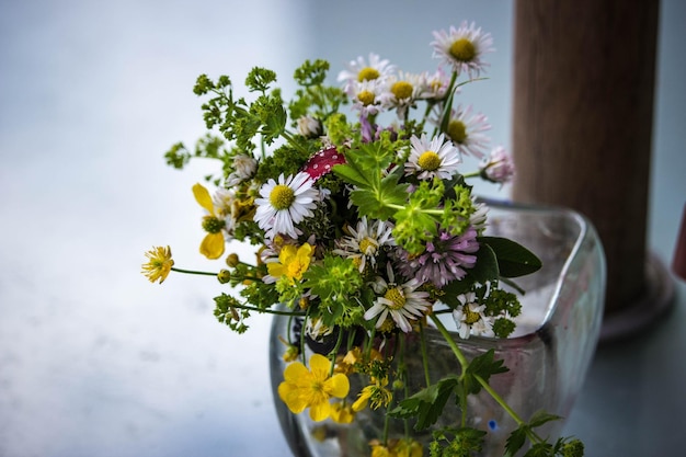 Nahaufnahme gelber Blüten, die im Freien blühen