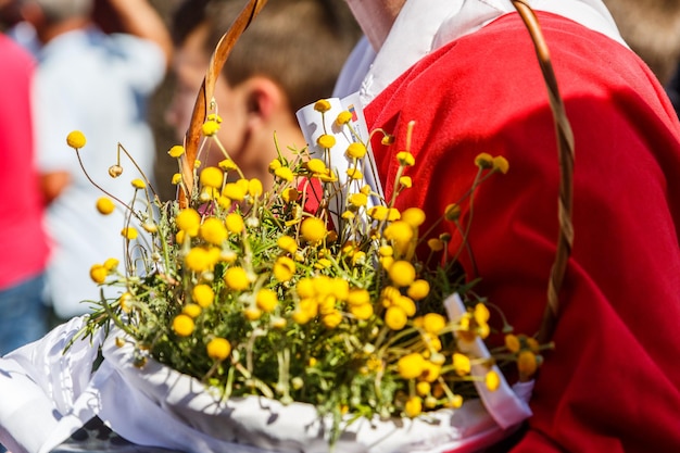 Foto nahaufnahme gelber blüten