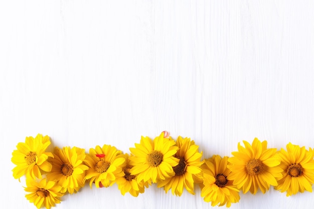Nahaufnahme gelber Blumen vor weißem Hintergrund