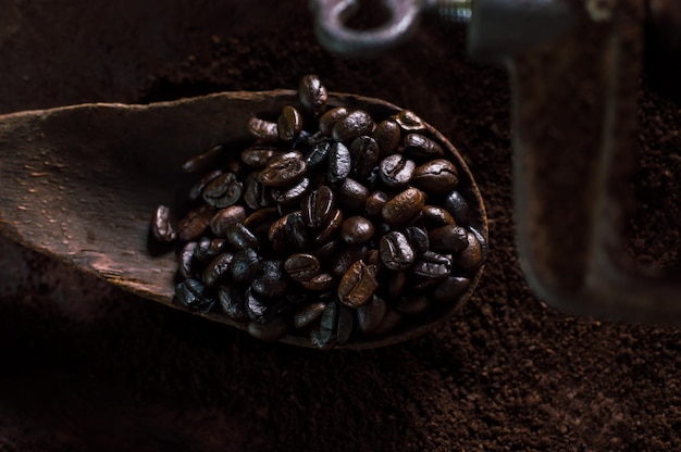 Nahaufnahme gerösteter Kaffeebohnen im Löffel