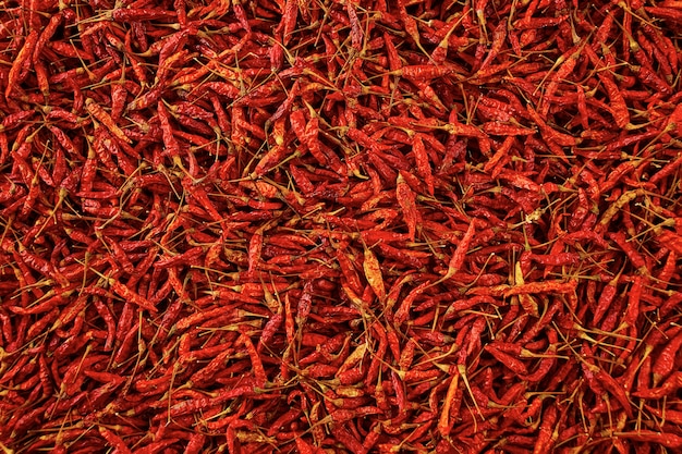 Nahaufnahme getrockneter roter heißer Chili Textur Hintergrund, getrockneter roter Karen Chili ist traditionelles asiatisches Chili (Prik Ka Reang)