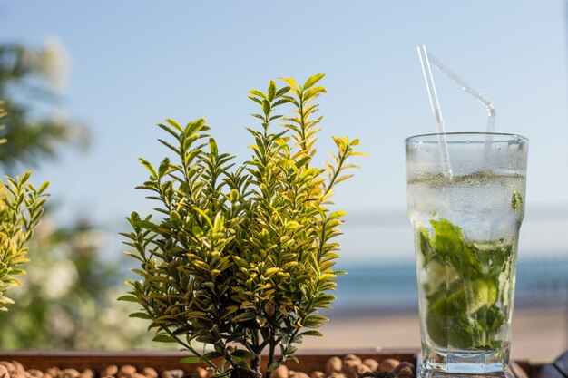 Nahaufnahme Glas des alkoholfreien Mojito-Cocktails mit Limette und Minze verziert mit Limettenscheibe und mit zwei Röhren am Barhintergrund.