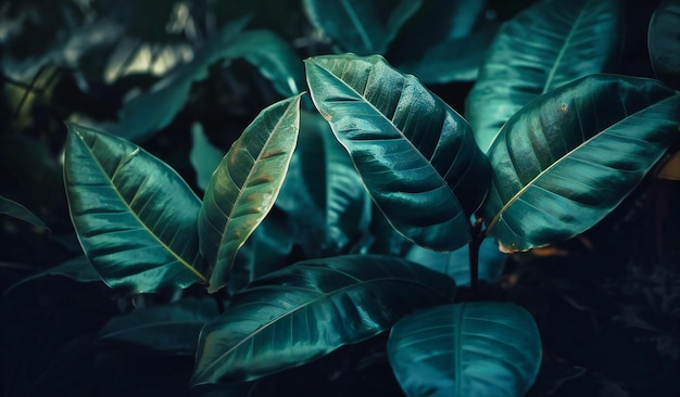 Nahaufnahme grüner Blätter auf dunklem Hintergrund
