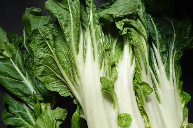 Nahaufnahme grüner Blätter