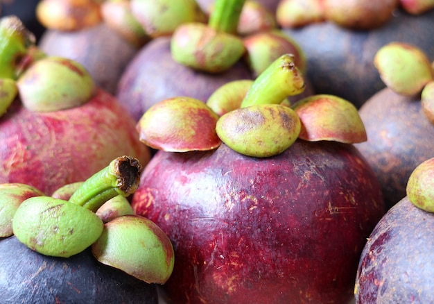 Nahaufnahme Haufen von reifen lila Mangostanfrüchten mit unscharfen Hintergrund