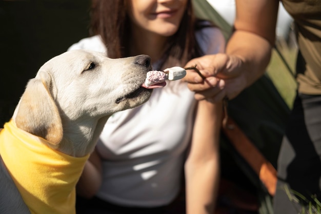 Nahaufnahme Hund, der Marshmallows isst