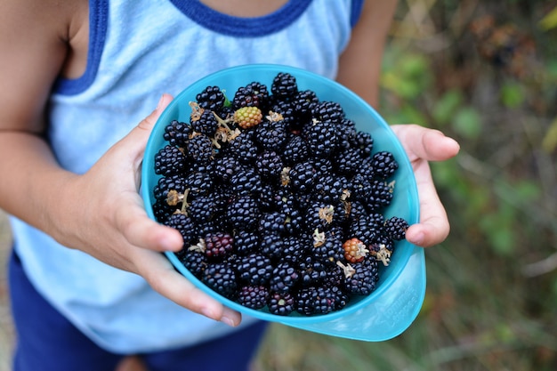 NAHAUFNAHME KIND PIKING WILD BLACKBERRIES