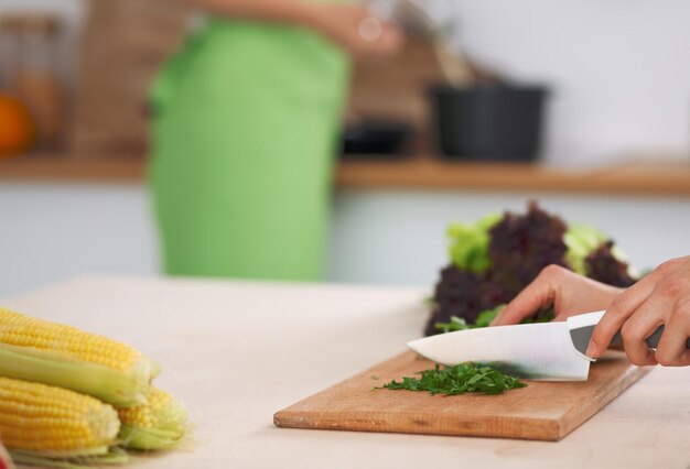 Nahaufnahme menschlicher Hände beim Kochen von Gemüsesalat in der Küche Gesundes Essen und vegetarisches Konzept