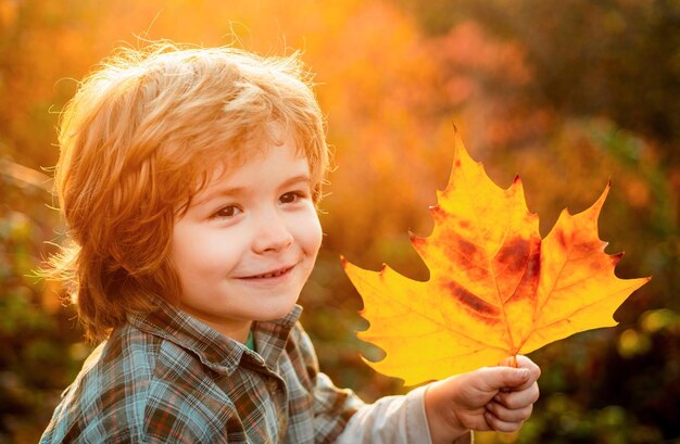 Nahaufnahme Porträt von Herbstkinder Junge Herbst ist lustig schönes Kind Junge hat Spaß in Herbstblättern