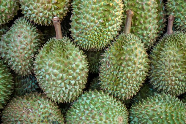 Nahaufnahme und Erntehaufen von Durian in Regalen auf dem Markt