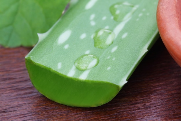 Nahaufnahme von Aloe mit medizinischen Thankuni-Blättern