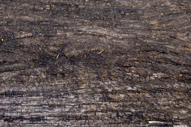 Nahaufnahme von alten natürlichen Holzbrettern. Strukturierter Hintergrund. Selektiver Fokus.