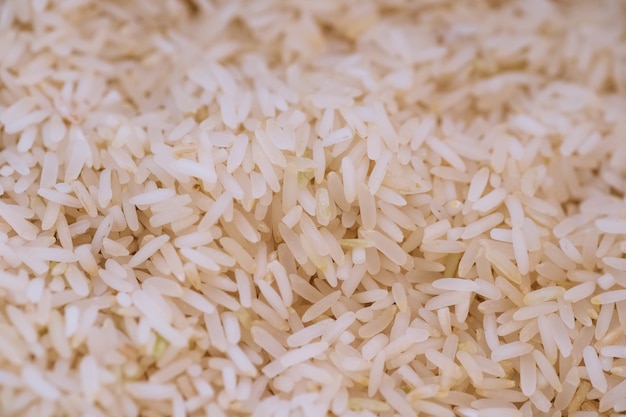 Nahaufnahme von Asien rohem Reiskorn und trockenem Reis