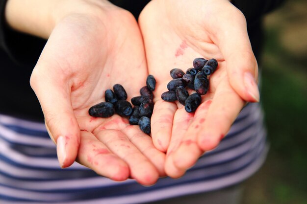 Foto nahaufnahme von beeren in der hand