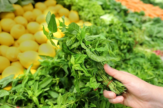 Nahaufnahme von Bio- und frischer Minze im Supermarkt