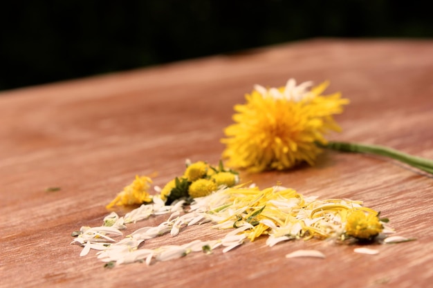 Foto nahaufnahme von blumen auf dem tisch