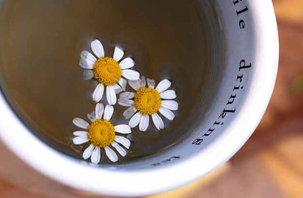 Foto nahaufnahme von blumen auf einem teller