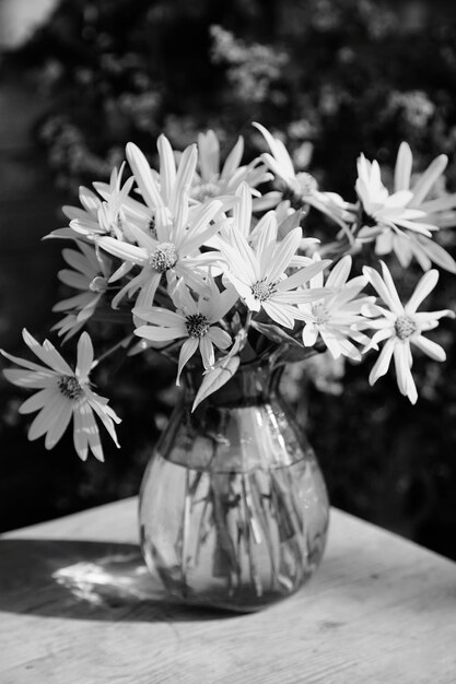 Foto nahaufnahme von blumen in einer vase