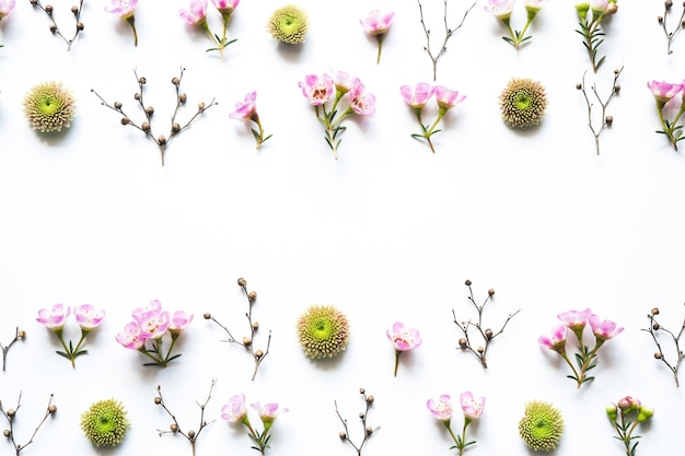 Nahaufnahme von Blumen vor weißem Hintergrund