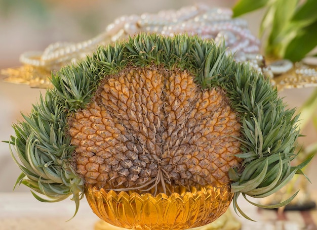 Foto nahaufnahme von blumen