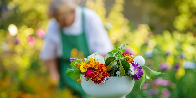 Foto nahaufnahme von blumen