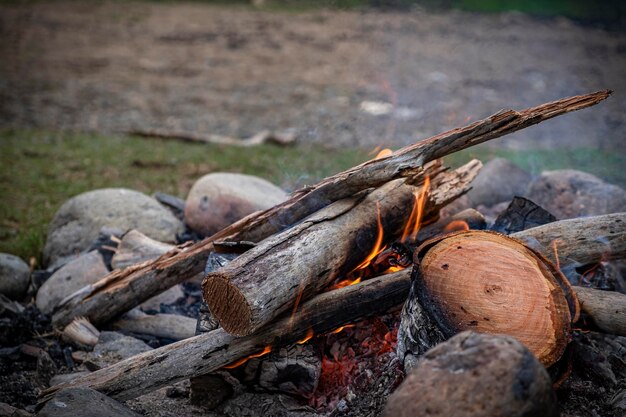 Foto nahaufnahme von brennholz auf holz