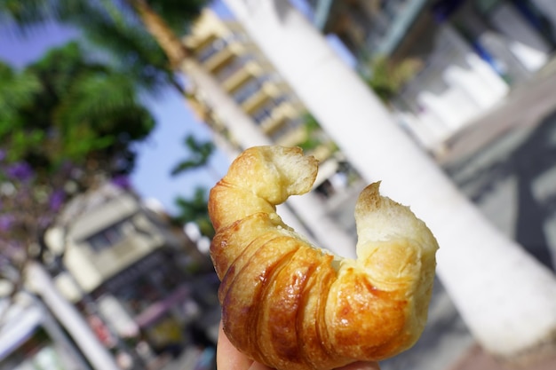 Foto nahaufnahme von brot auf der pflanze