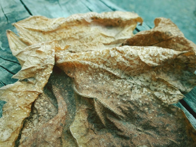 Foto nahaufnahme von brot