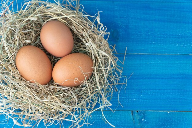 Nahaufnahme von Eiern im Nest