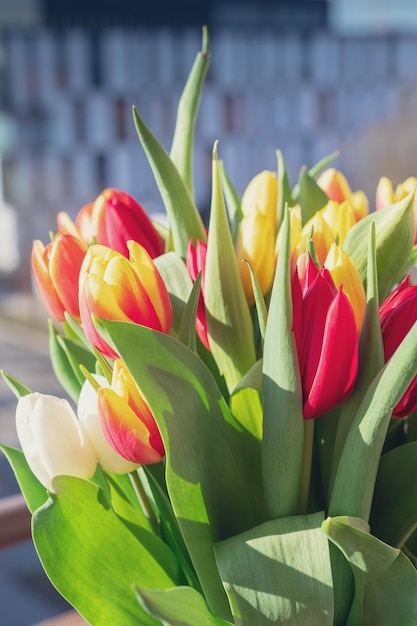 Nahaufnahme von einem Strauß Tulpen