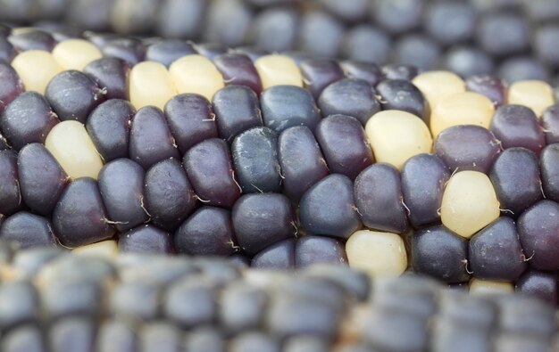 Nahaufnahme von einigen frischen blauen Hühneraugen