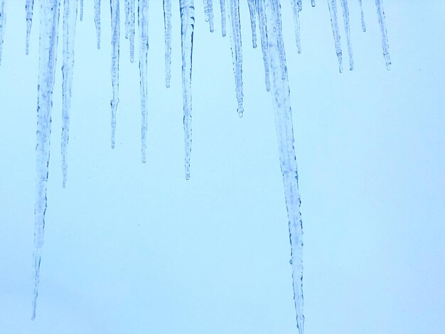 Nahaufnahme von Eisschnecken gegen den Himmel im Winter